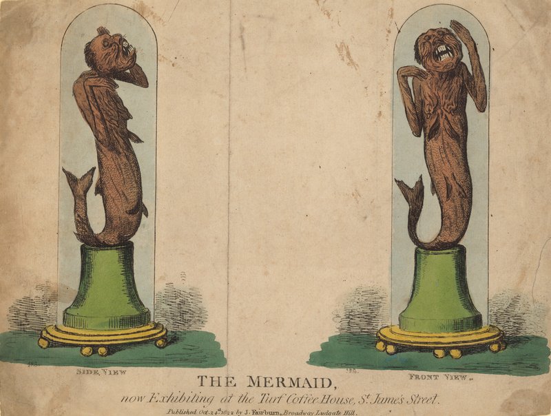 The Mermaid, Now Exhibited at the Turf Coffee House by English School