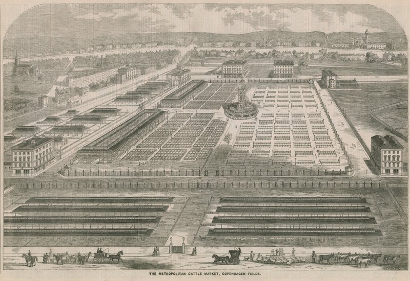 The Metropolitan Cattle Market, Copenhagen Fields, London by English School