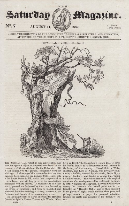 The Nannau Oak by English School