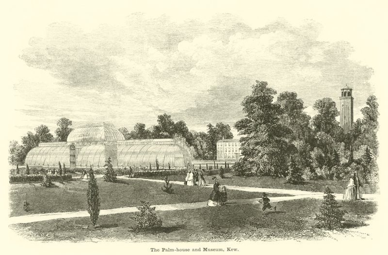 The Palm-house and Museum, Kew by English School