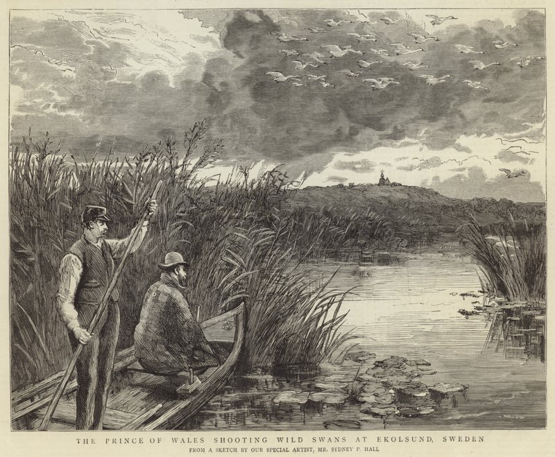 The Prince of Wales Shooting Wild Swans at Ekolsund by English School