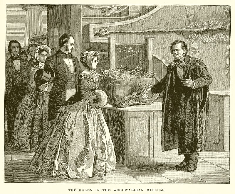 The Queen in the Woodwardian Museum by English School