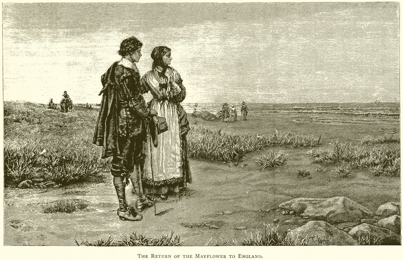 The Return of the Mayflower to England by English School