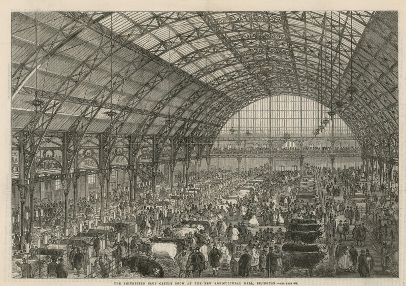 The Smithfield Club Cattle Show at the new Agricultural Hall by English School