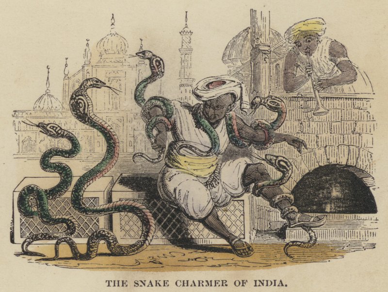 The Snake Charmer of India by English School