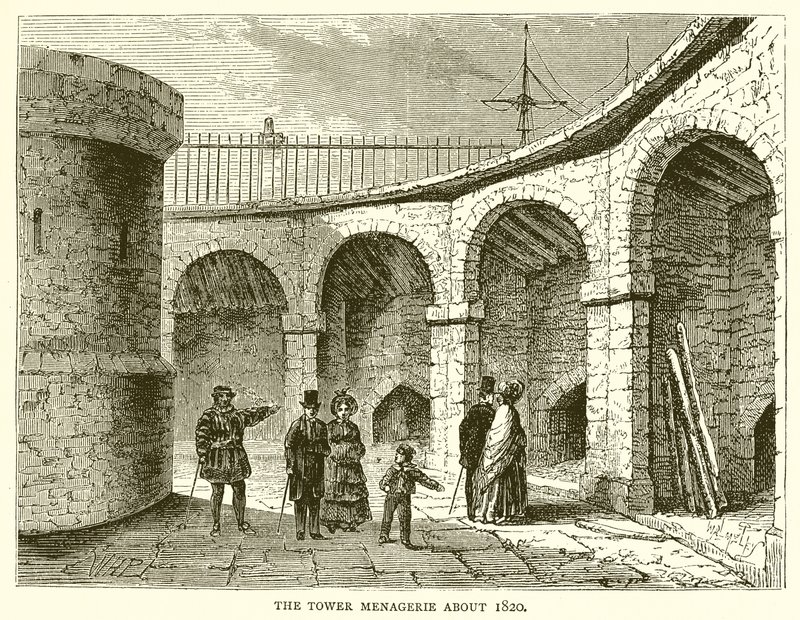 The Tower Menagerie About 1820 by English School