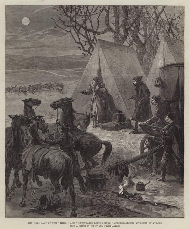 The War, Camp of the 