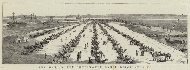 The War in the Soudan, the Camel Depot at Suez by English School