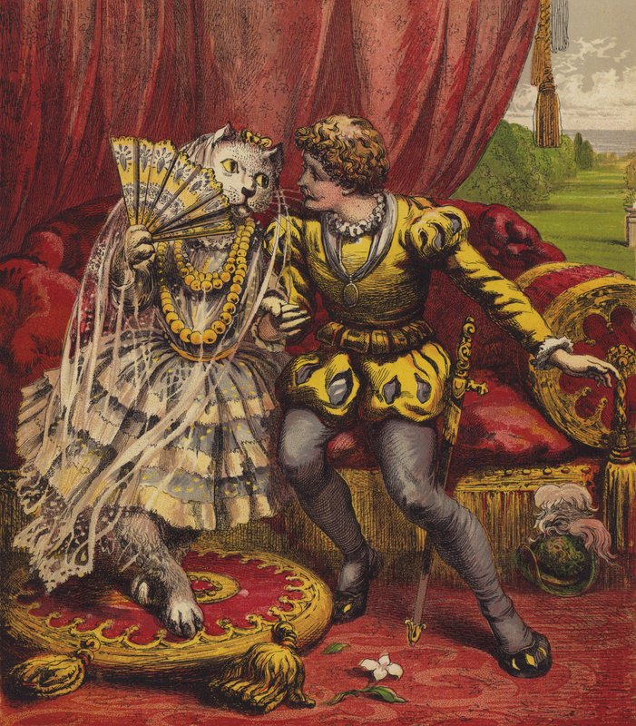 The White Cat by English School