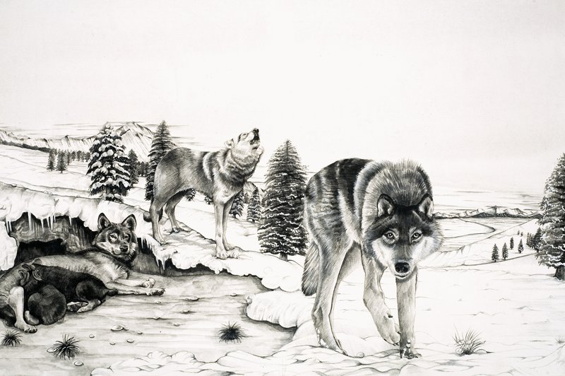 The World of Nature: The 