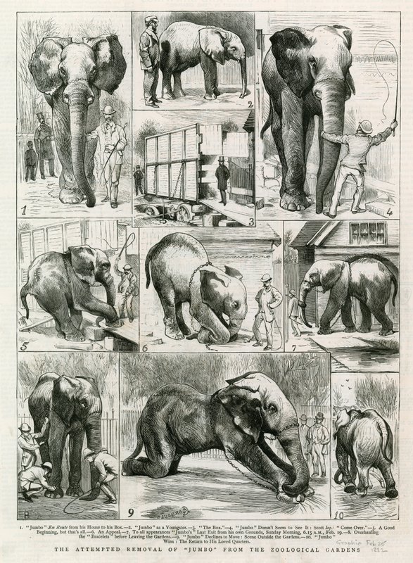 The attempted removal of Jumbo from the Zoological Gardens by English School