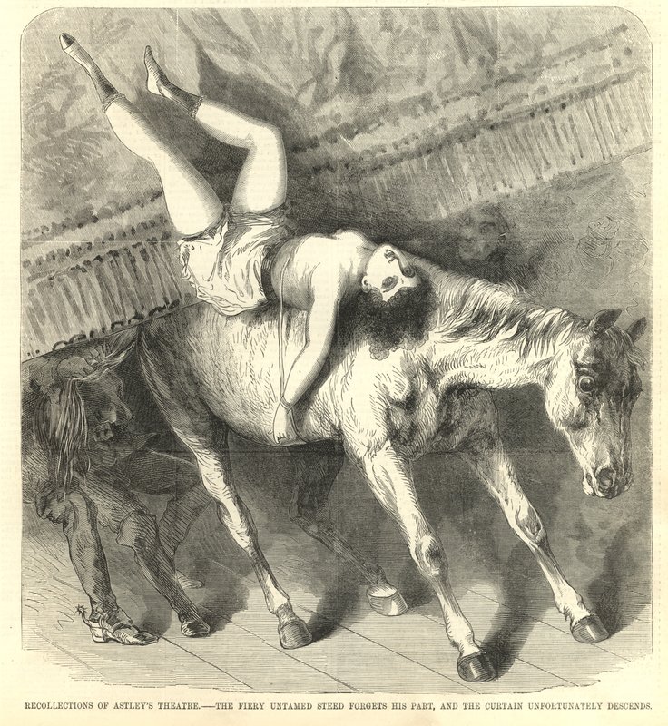 The Fiery Untamed Steed Forgets His Part, and the Curtain Unfortunately Descends by English School
