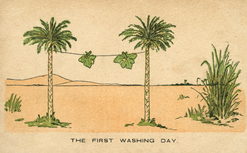 The first washing day: Adam and Eve