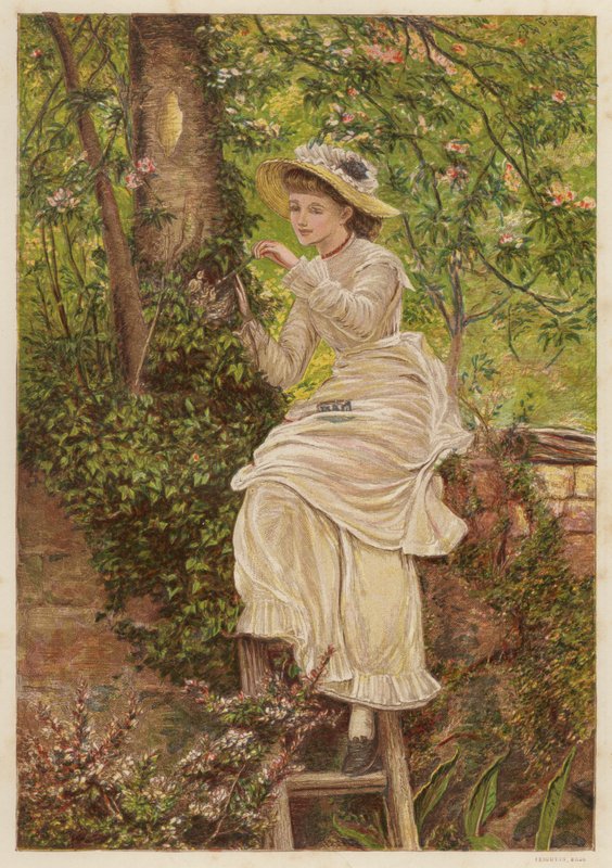 The Foster Mother: Young Woman Feeding Orphaned Bird Chicks in a Nest by English School