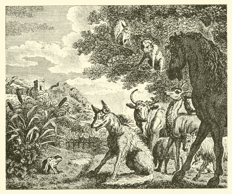 The frog and the fox by English School