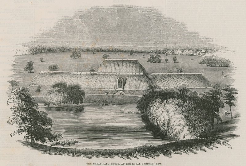 The Great Palm House at the Royal Gardens, Kew, London by English School