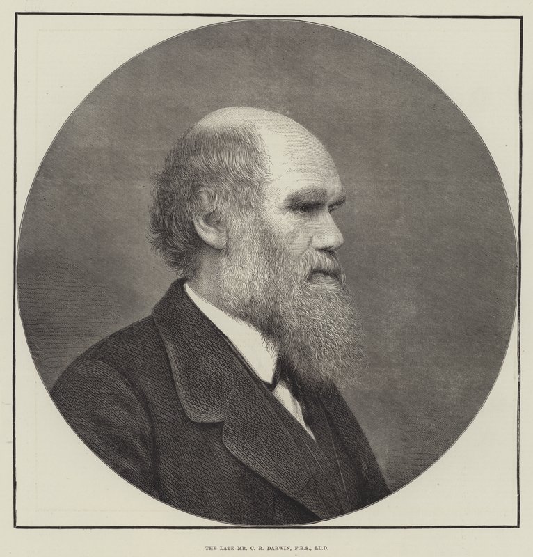 The late Mr C R Darwin, FRS, LLD by English School