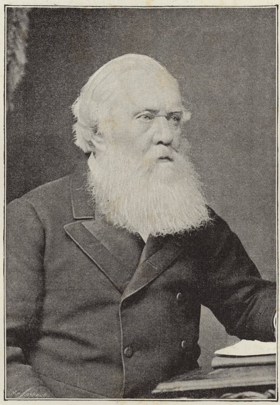 The Late Right Hon. Sir Austin Henry Layard by English School