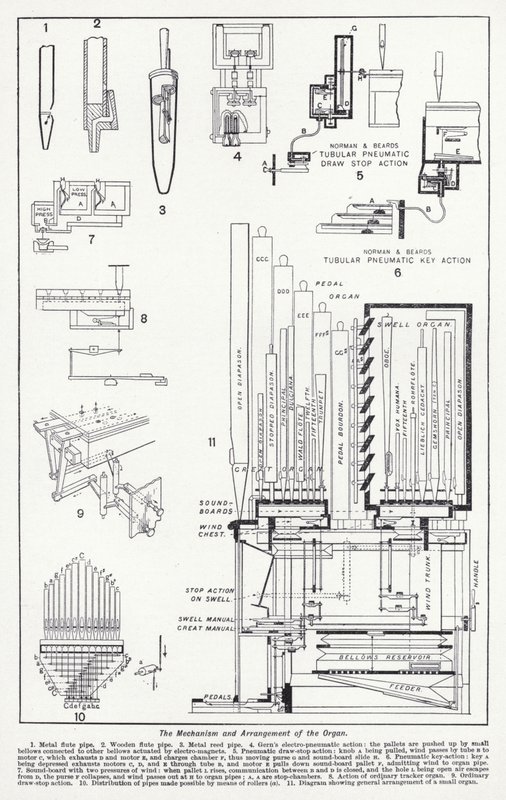 The mechanism and arrangement of the organ by English School