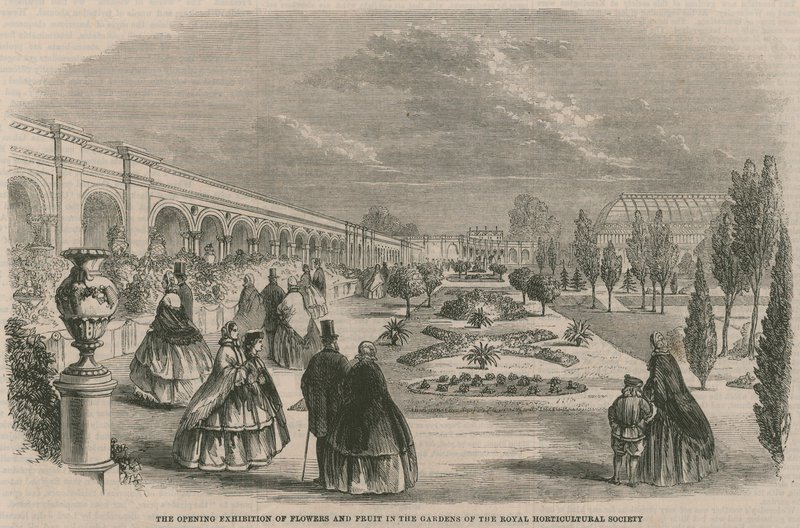 The Opening Exhibition of Flowers and Fruit in the Gardens of the Royal Horticultural Society by English School