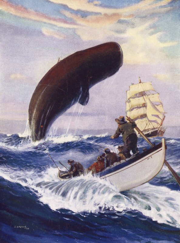 The whale heaved its whole vast bulk out of the water by English School
