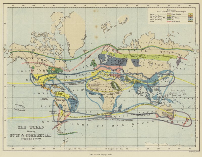 The world showing food and commercial products by English School