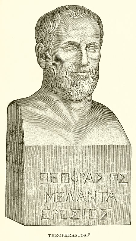Theophrastus by English School