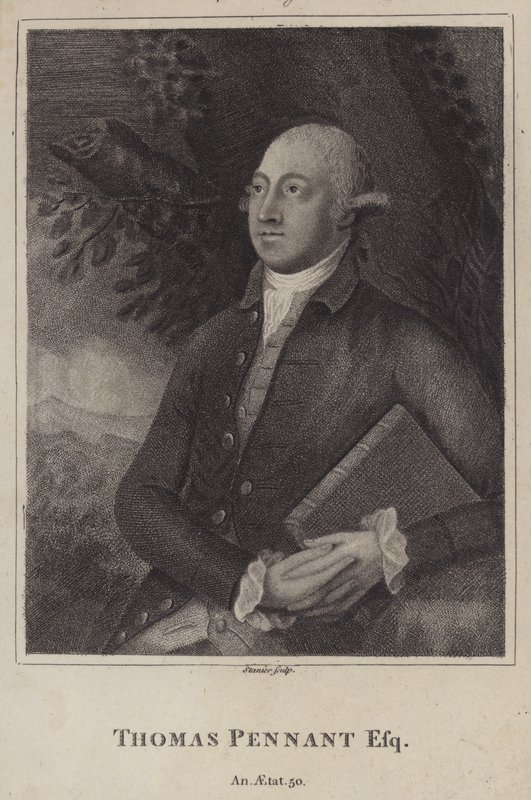 Thomas Pennant, Welsh Naturalist and Topographer by English School
