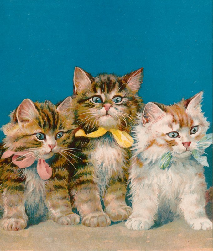 Three Little Kits by English School