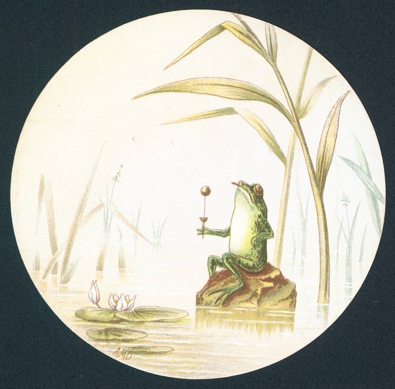 Toad Sitting on Rock in Pond by English School
