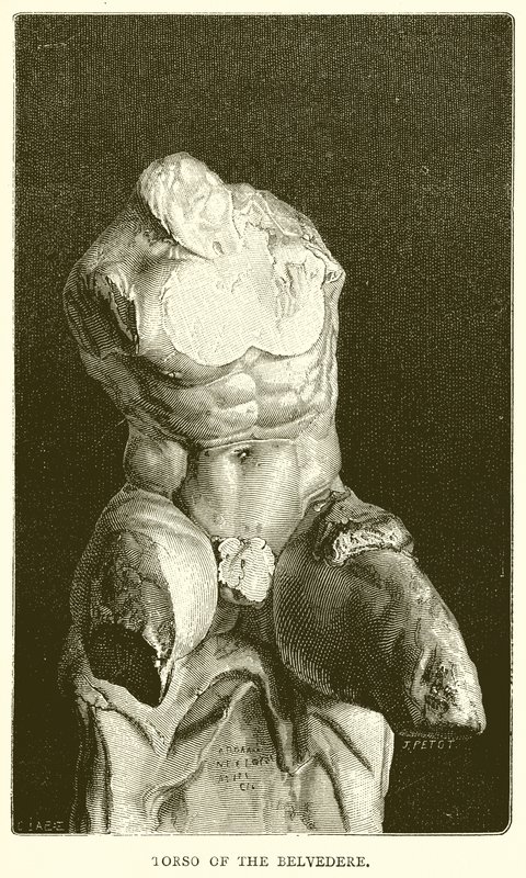 Torso of the Belvedere by English School