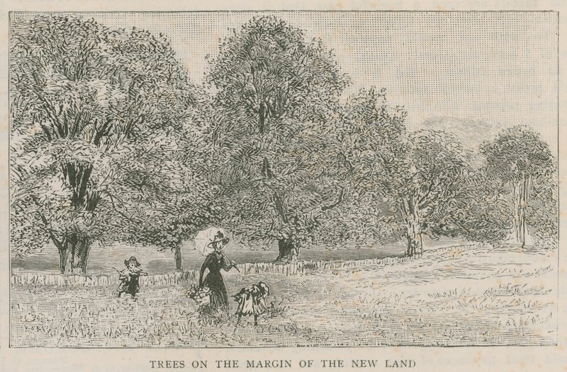Trees on the Margin of the New Land by English School