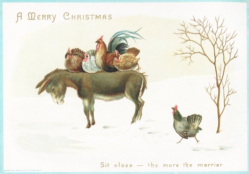 Turkey and chicken sitting on Donkey