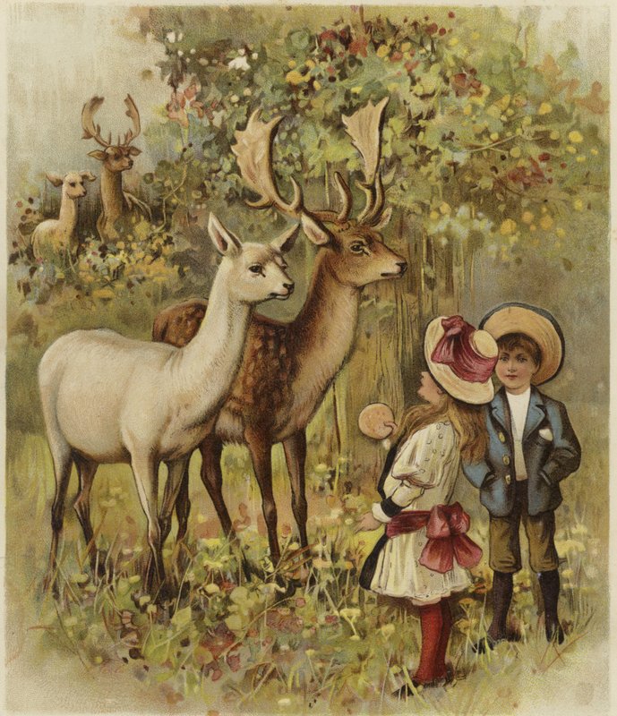 Two Young Children Feeding the Deer in a Park by English School