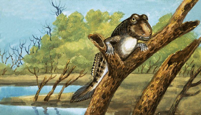 Unidentified Creature by English School