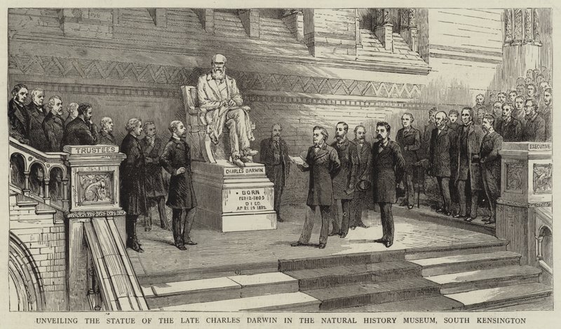 Unveiling the Statue of the Late Charles Darwin in the Natural History Museum, South Kensington by English School