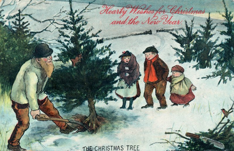 Uprooting the Christmas Tree by English School