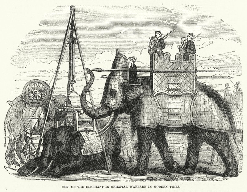Uses of the Elephant in Oriental Warfare in Modern Times by English School