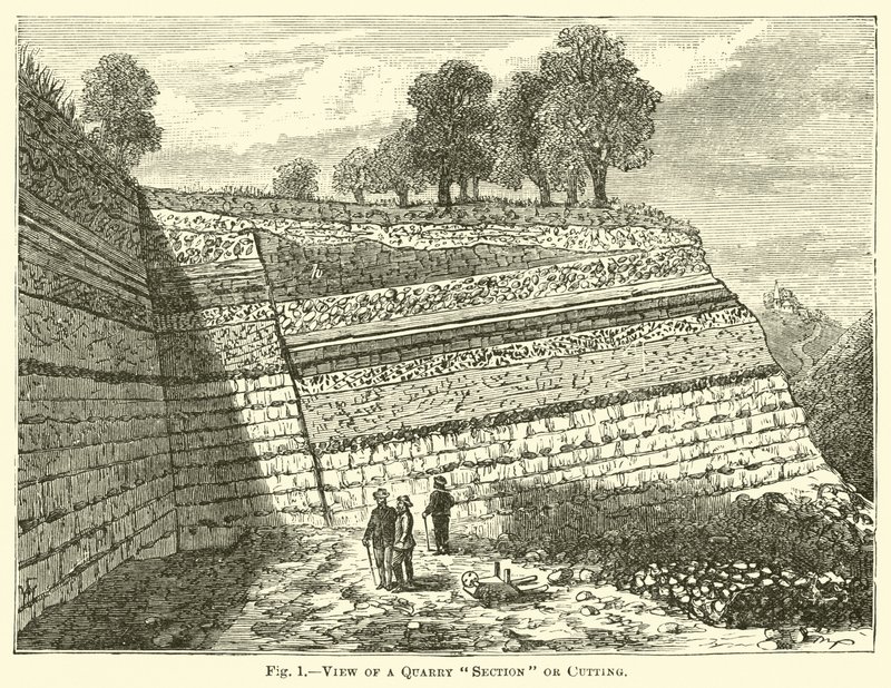 View of a Quarry Section or Cutting by English School