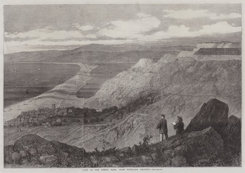 View of the Chesil Bank, from Portland Heights by English School