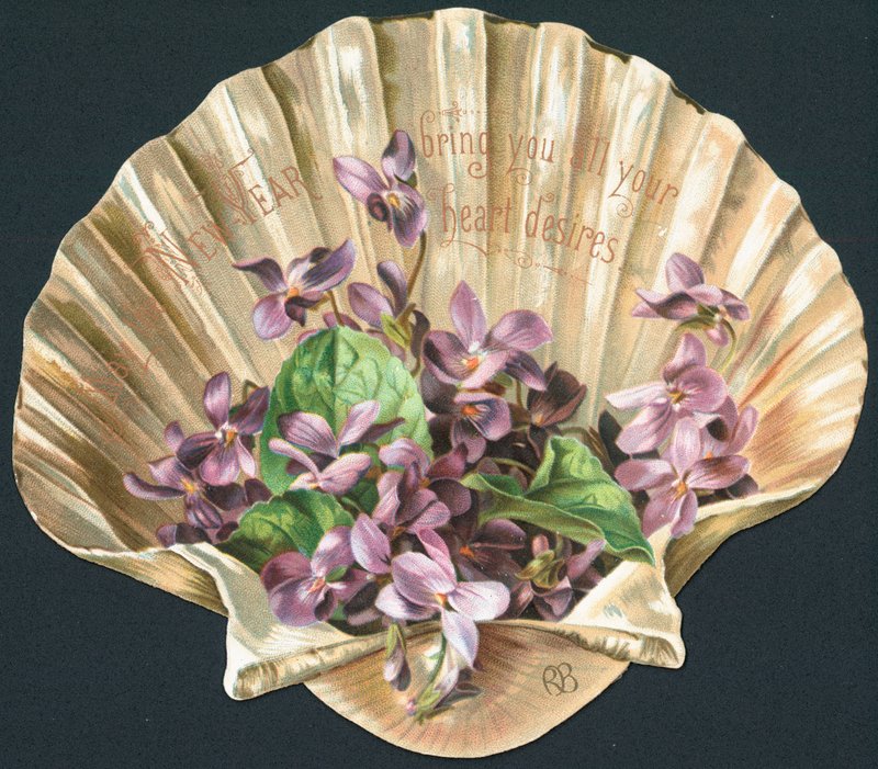 Violets in Clam Shell, New Year Card by English School