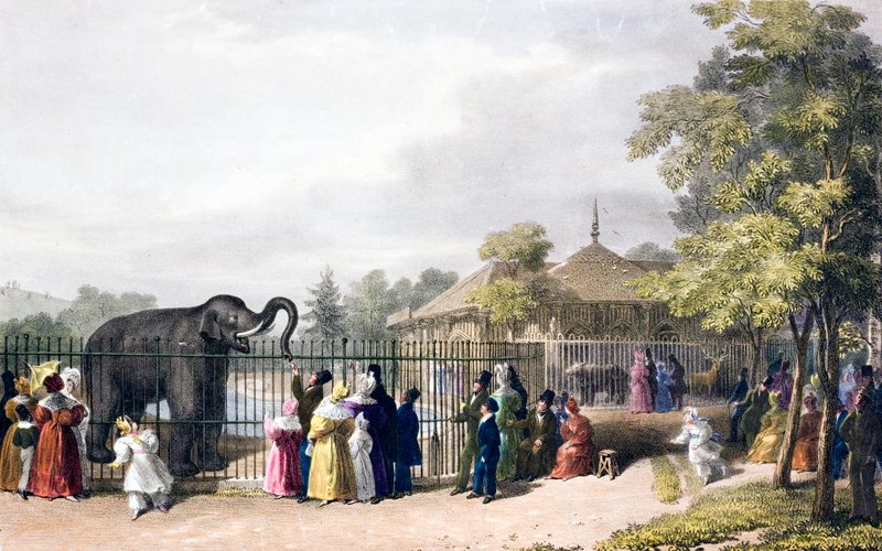 Visitors to London Zoo, Regent