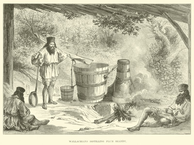 Wallachians Distilling Plum Brandy by English School