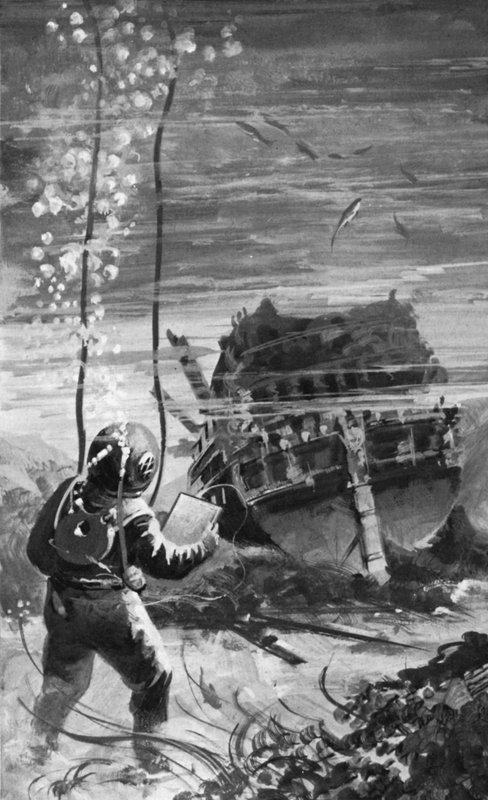 When Swedish Navy divers went down, they found the Vasa preserved in surprisingly good condition by English School