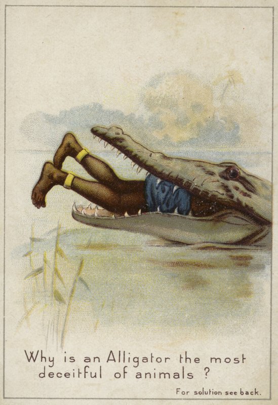 Why is an Alligator the Most Deceitful of Animals? by English School