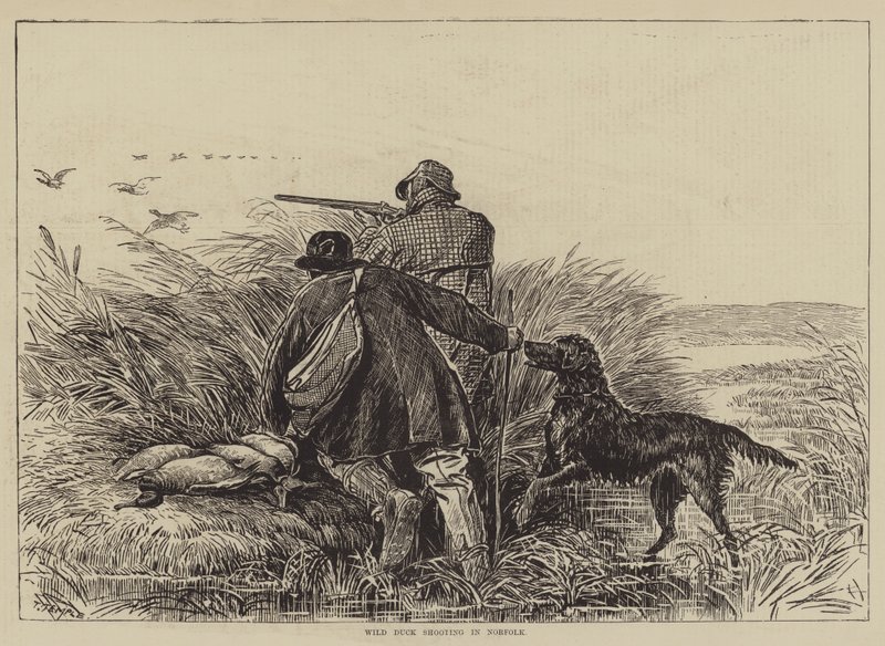 Wild Duck Shooting in Norfolk by English School