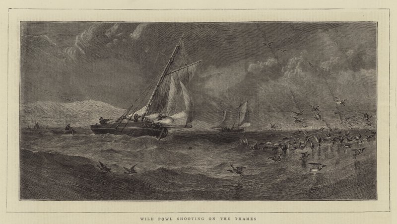 Wild Fowl Shooting on the Thames by English School