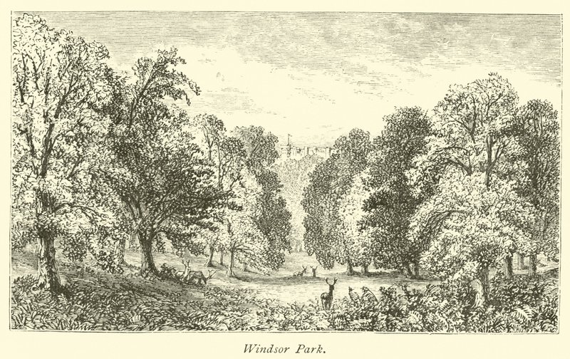 Windsor Park by English School