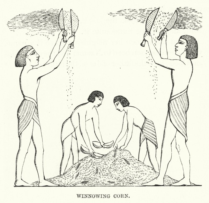 Winnowing Corn by English School
