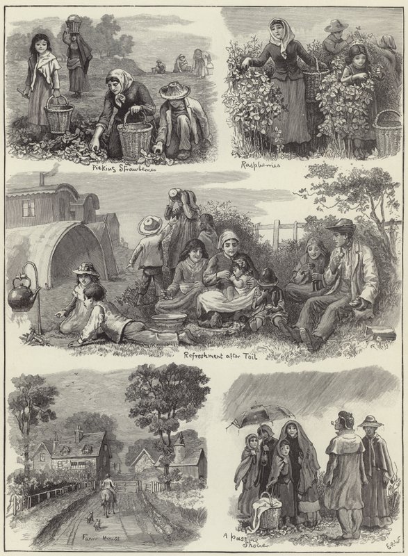 With the fruit gatherers by English School